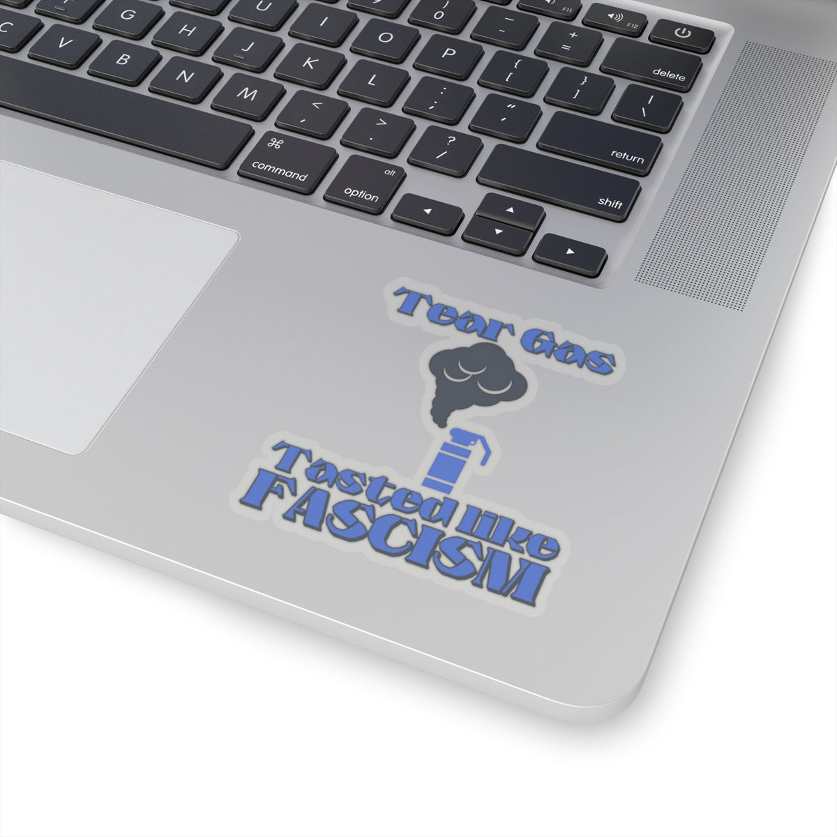 Tear Gas Tasted Like Fascism Sticker – Protest Sticker, Anti Fascist Art, Activist Vinyl Decal, Political Statement Sticker