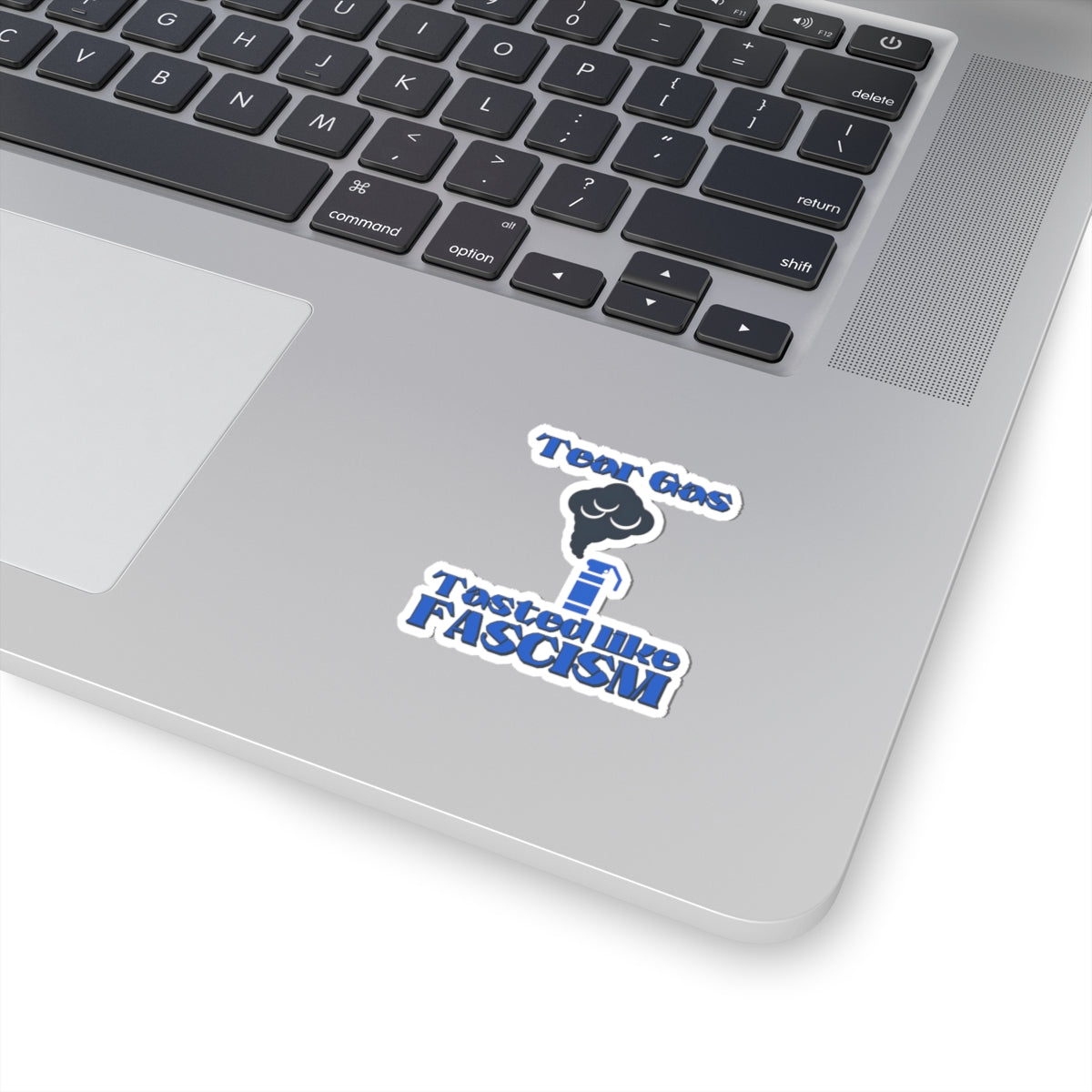 Tear Gas Tasted Like Fascism Sticker – Protest Sticker, Anti Fascist Art, Activist Vinyl Decal, Political Statement Sticker
