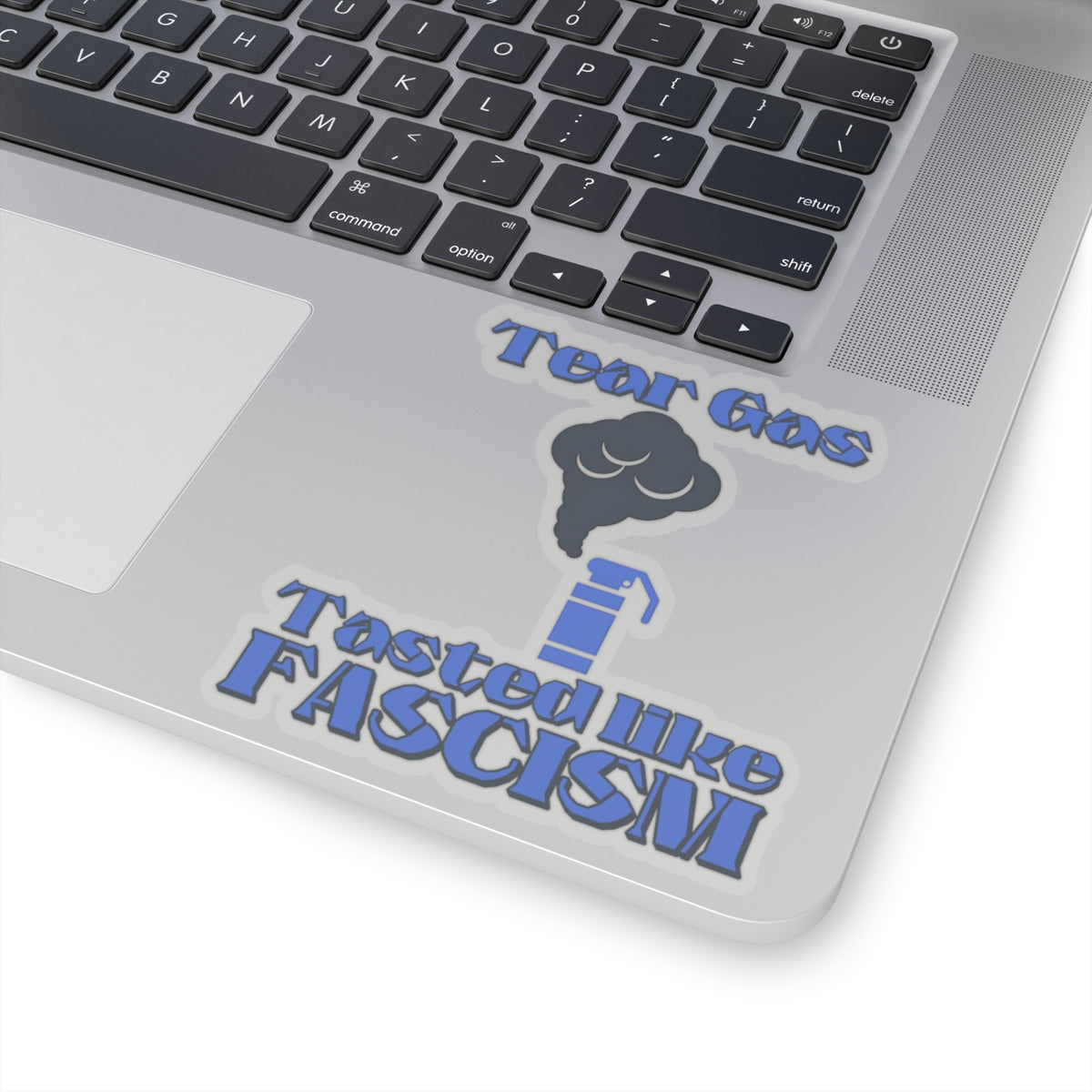 Tear Gas Tasted Like Fascism Sticker – Protest Sticker, Anti Fascist Art, Activist Vinyl Decal, Political Statement Sticker