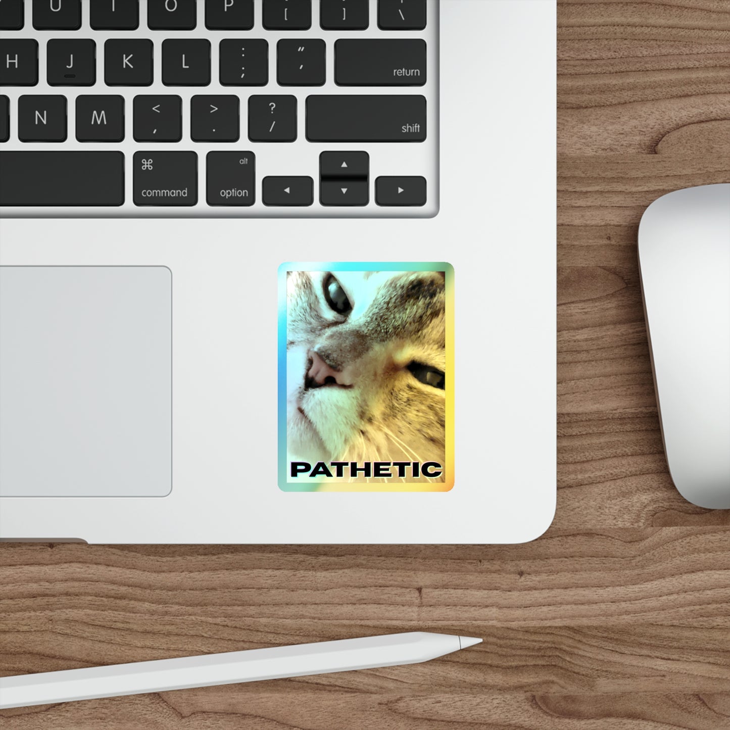 Pathetic Cat Holographic Sticker – You shouldn't have even tried Decal
