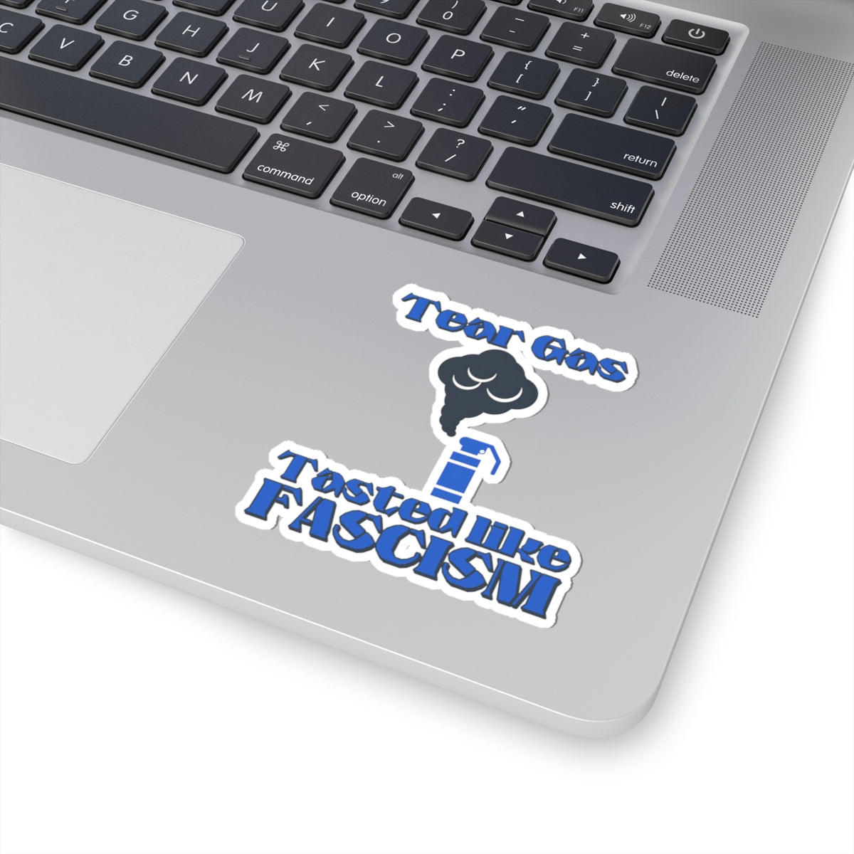 Tear Gas Tasted Like Fascism Sticker – Protest Sticker, Anti Fascist Art, Activist Vinyl Decal, Political Statement Sticker