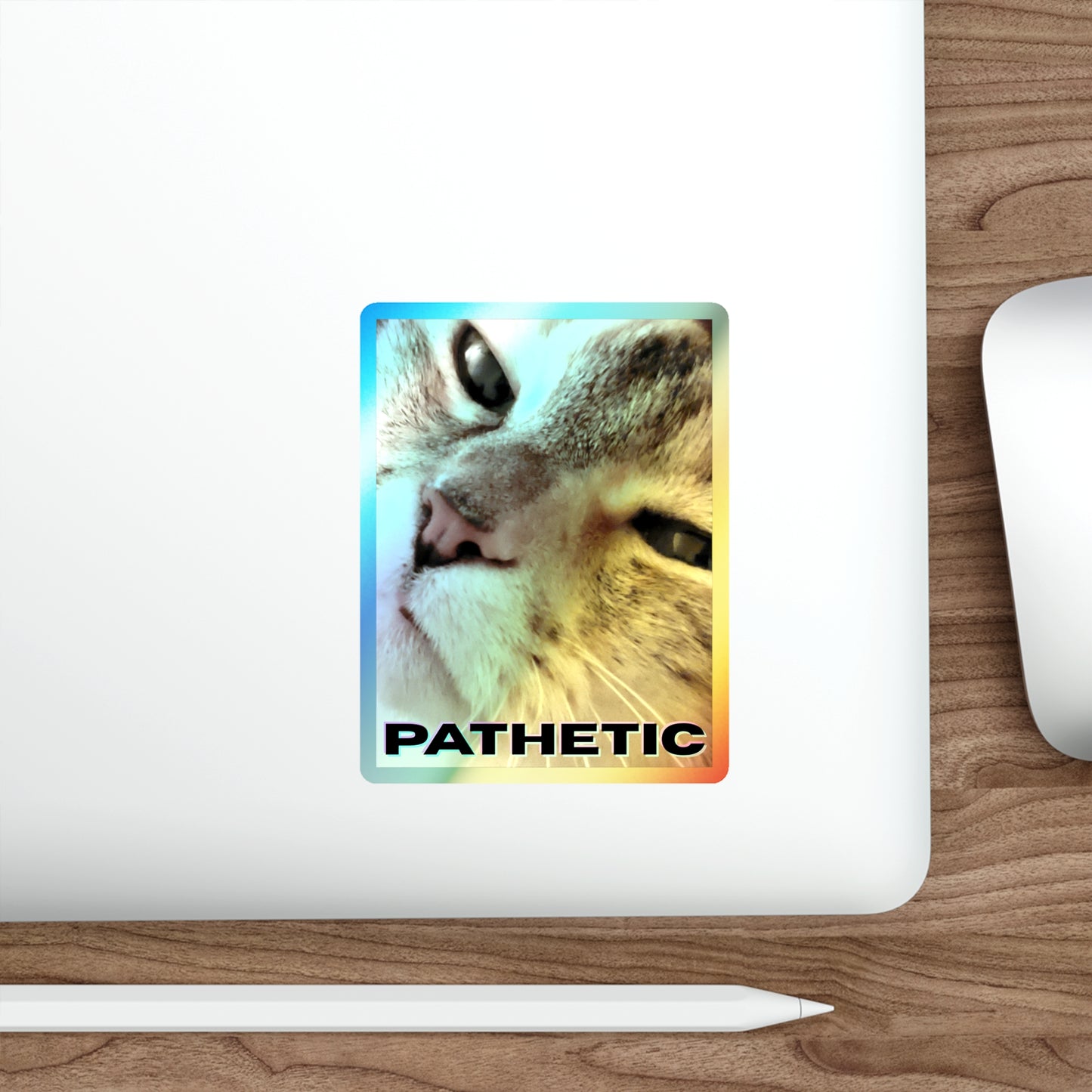 Pathetic Cat Holographic Sticker – You shouldn't have even tried Decal