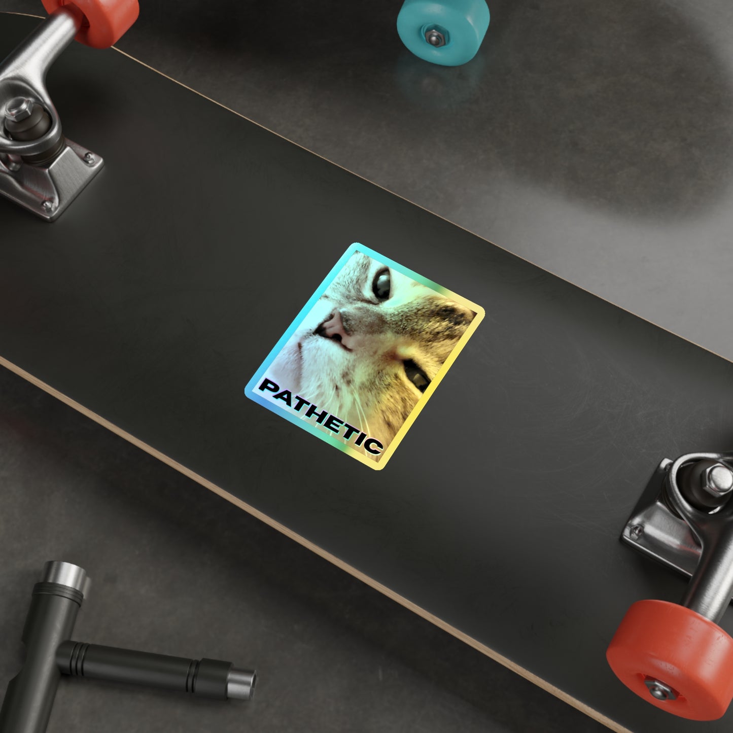 Pathetic Cat Holographic Sticker – You shouldn't have even tried Decal