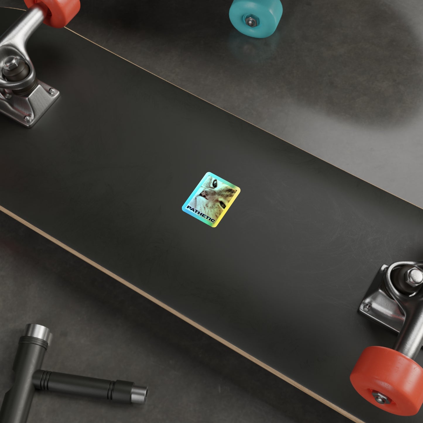 Pathetic Cat Holographic Sticker – You shouldn't have even tried Decal