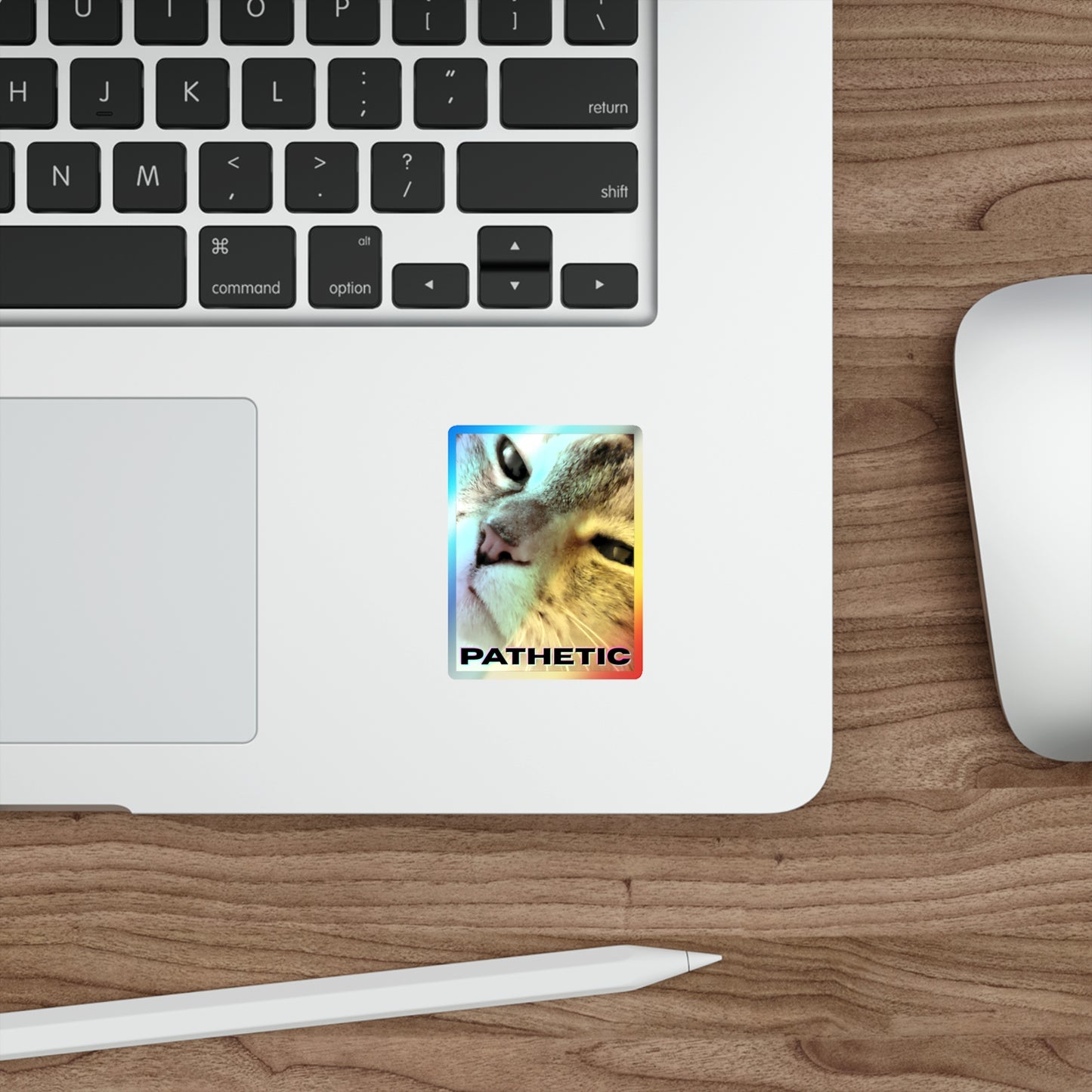 Pathetic Cat Holographic Sticker – You shouldn't have even tried Decal