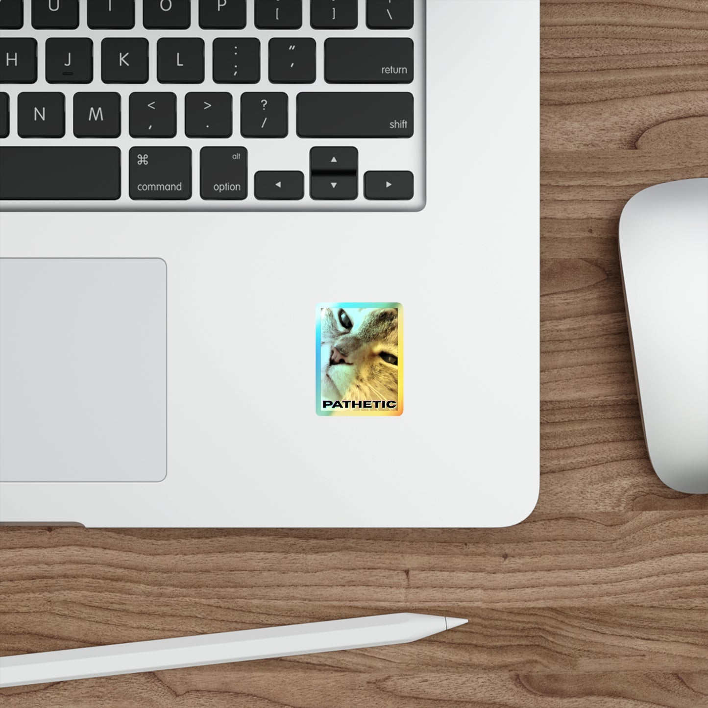 Pathetic Cat Holographic Sticker – You shouldn't have even tried Decal