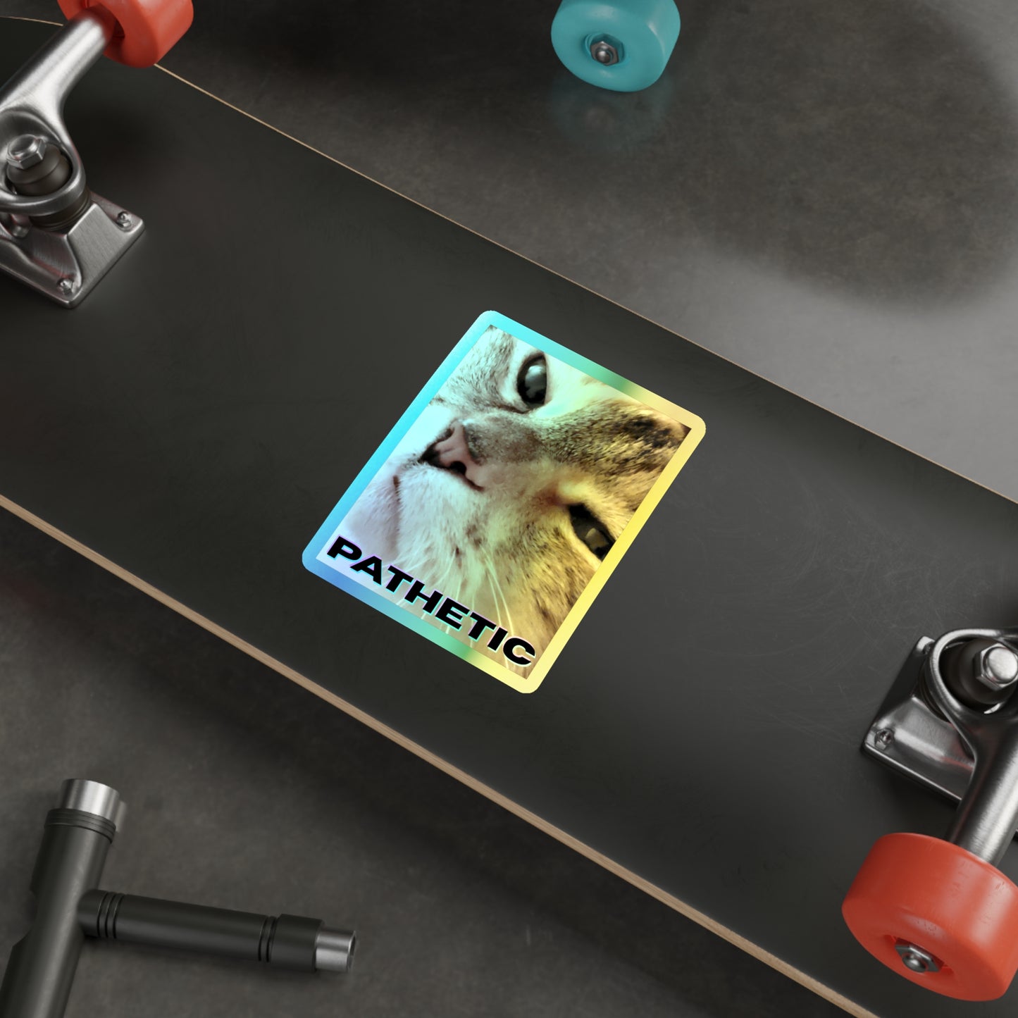 Pathetic Cat Holographic Sticker – You shouldn't have even tried Decal