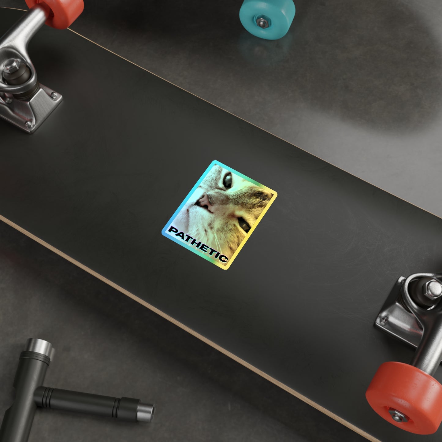 Pathetic Cat Holographic Sticker – You shouldn't have even tried Decal