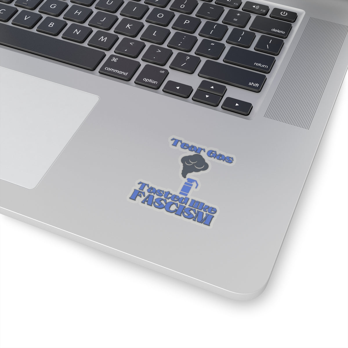 Tear Gas Tasted Like Fascism Sticker – Protest Sticker, Anti Fascist Art, Activist Vinyl Decal, Political Statement Sticker