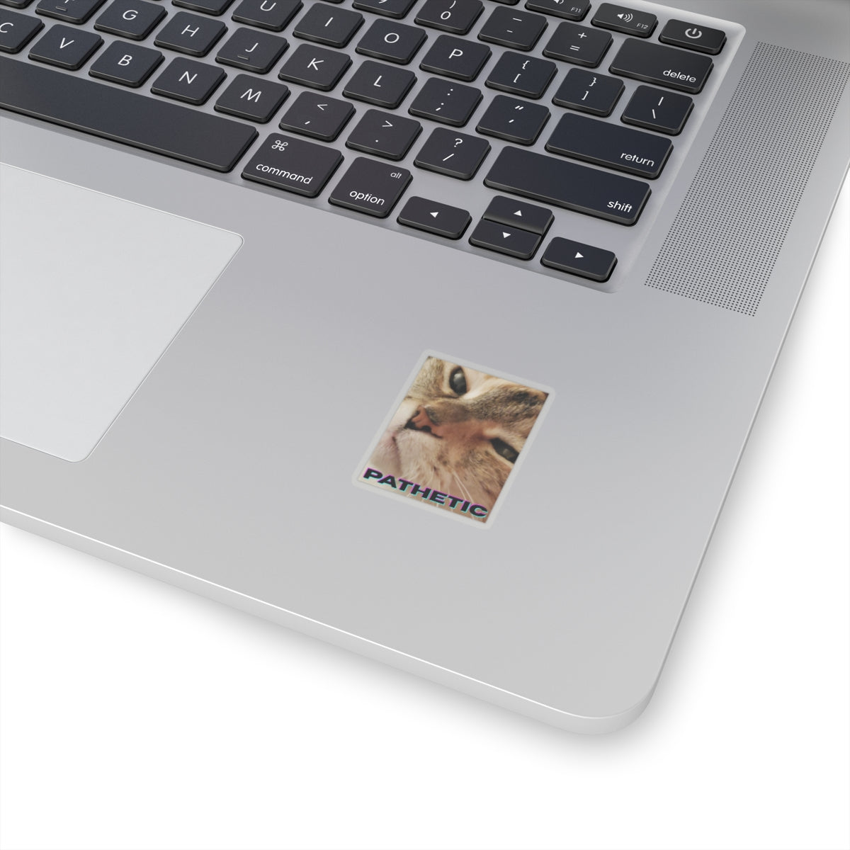 Pathetic Cat Kiss Cut Sticker – You shouldn't have even tried Decal