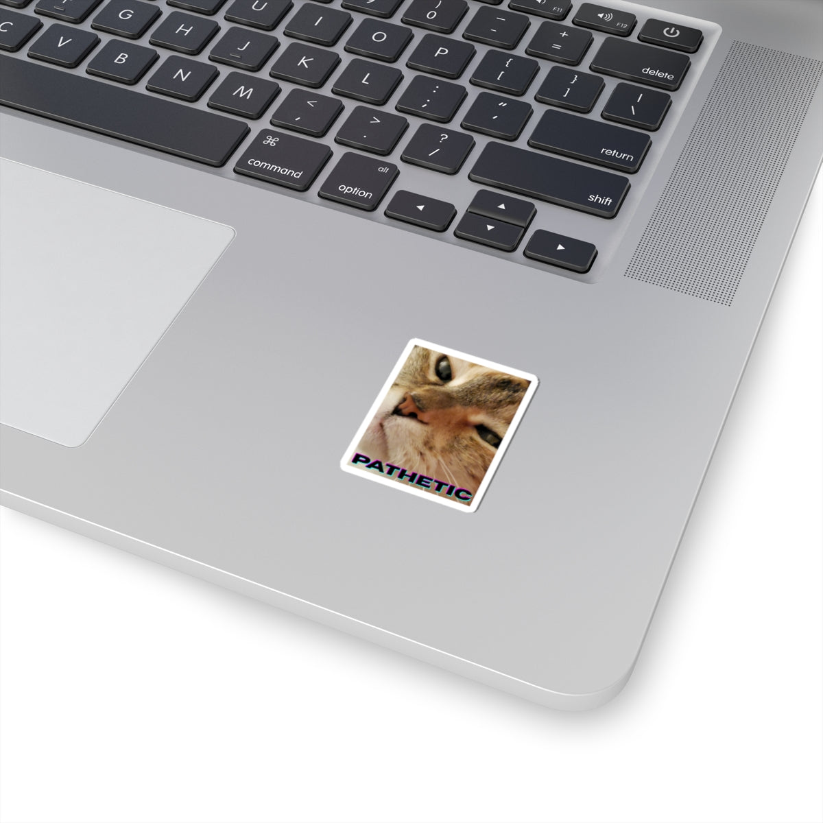 Pathetic Cat Kiss Cut Sticker – You shouldn't have even tried Decal