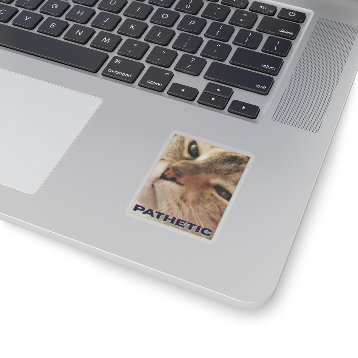 Pathetic Cat Kiss Cut Sticker – You shouldn't have even tried Decal