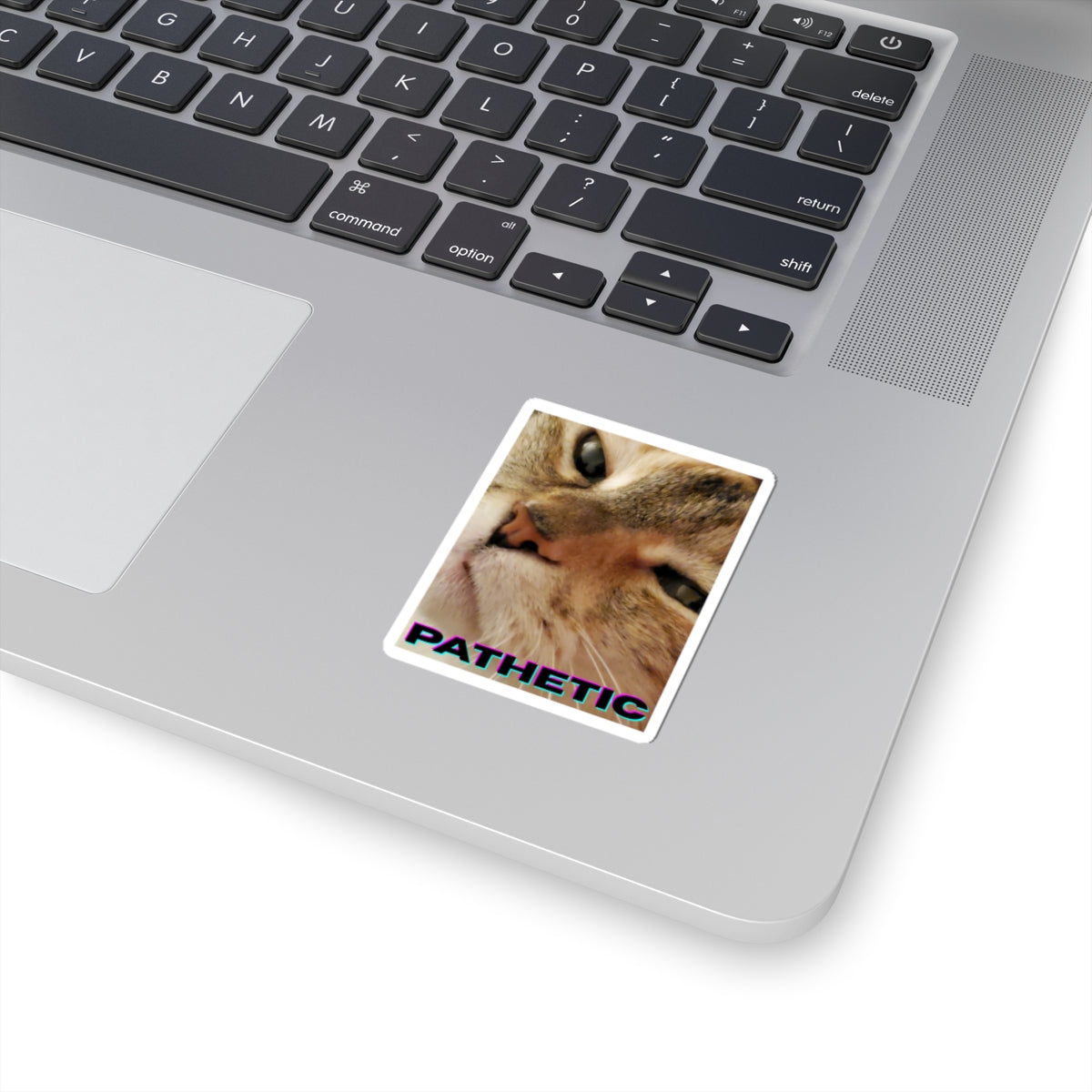 Pathetic Cat Kiss Cut Sticker – You shouldn't have even tried Decal