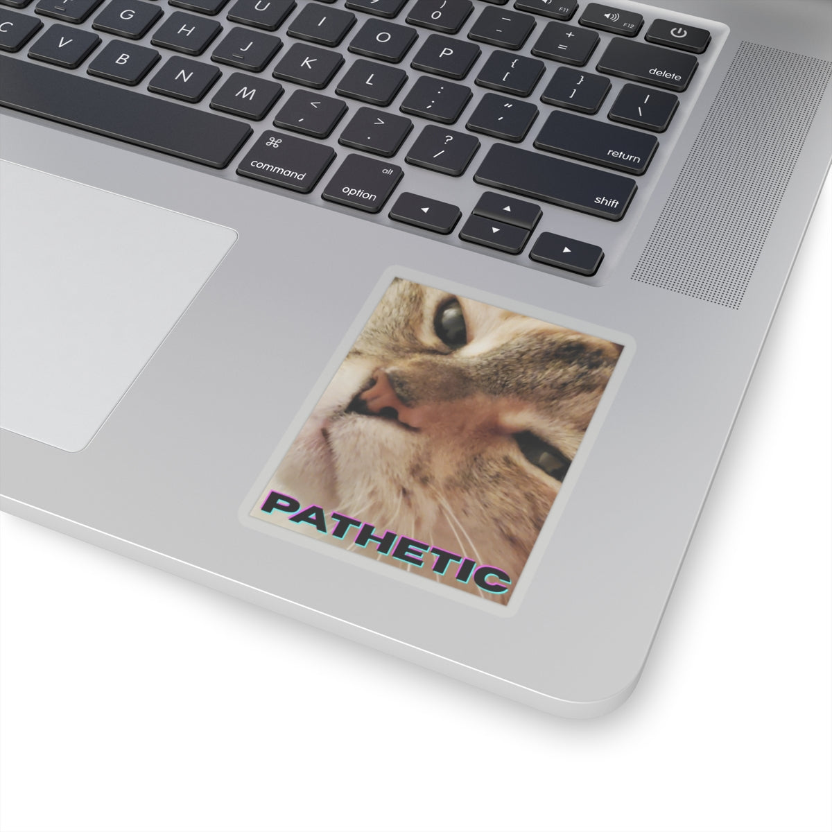 Pathetic Cat Kiss Cut Sticker – You shouldn't have even tried Decal