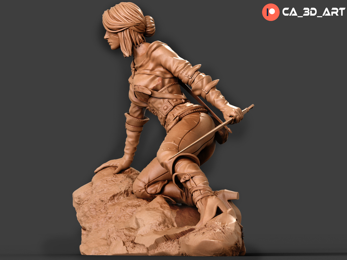 Ciri Style Witcher Fantasy Gaming Unpainted Resin Garage Model Kit (1/6-1/12)
