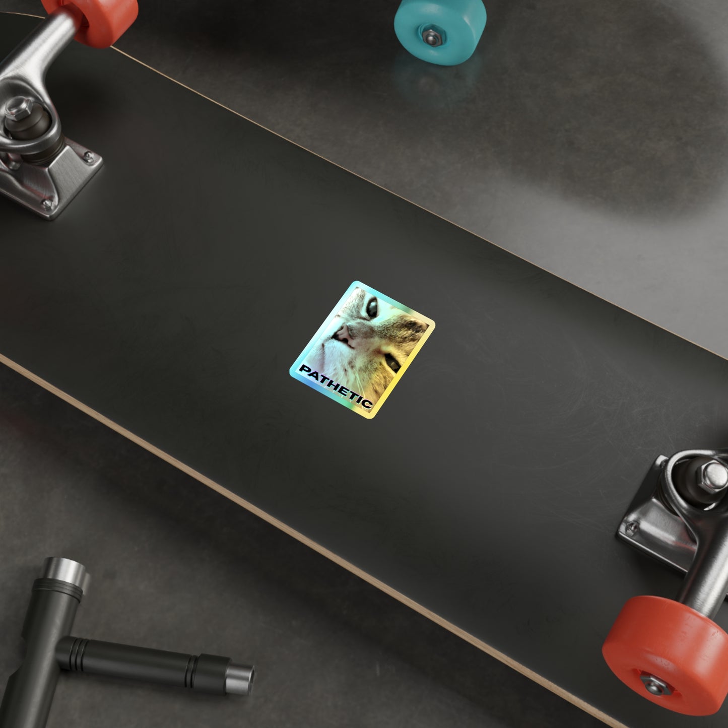 Pathetic Cat Holographic Sticker – You shouldn't have even tried Decal