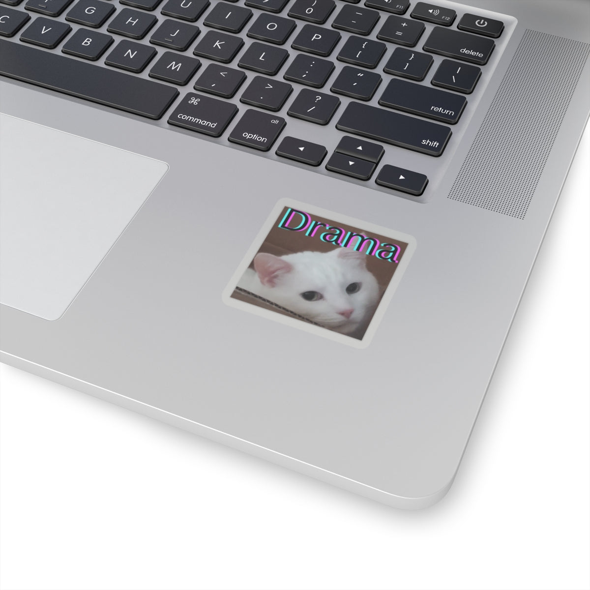 Drama Cat Kiss Cut Sticker – I cant believe you've done this